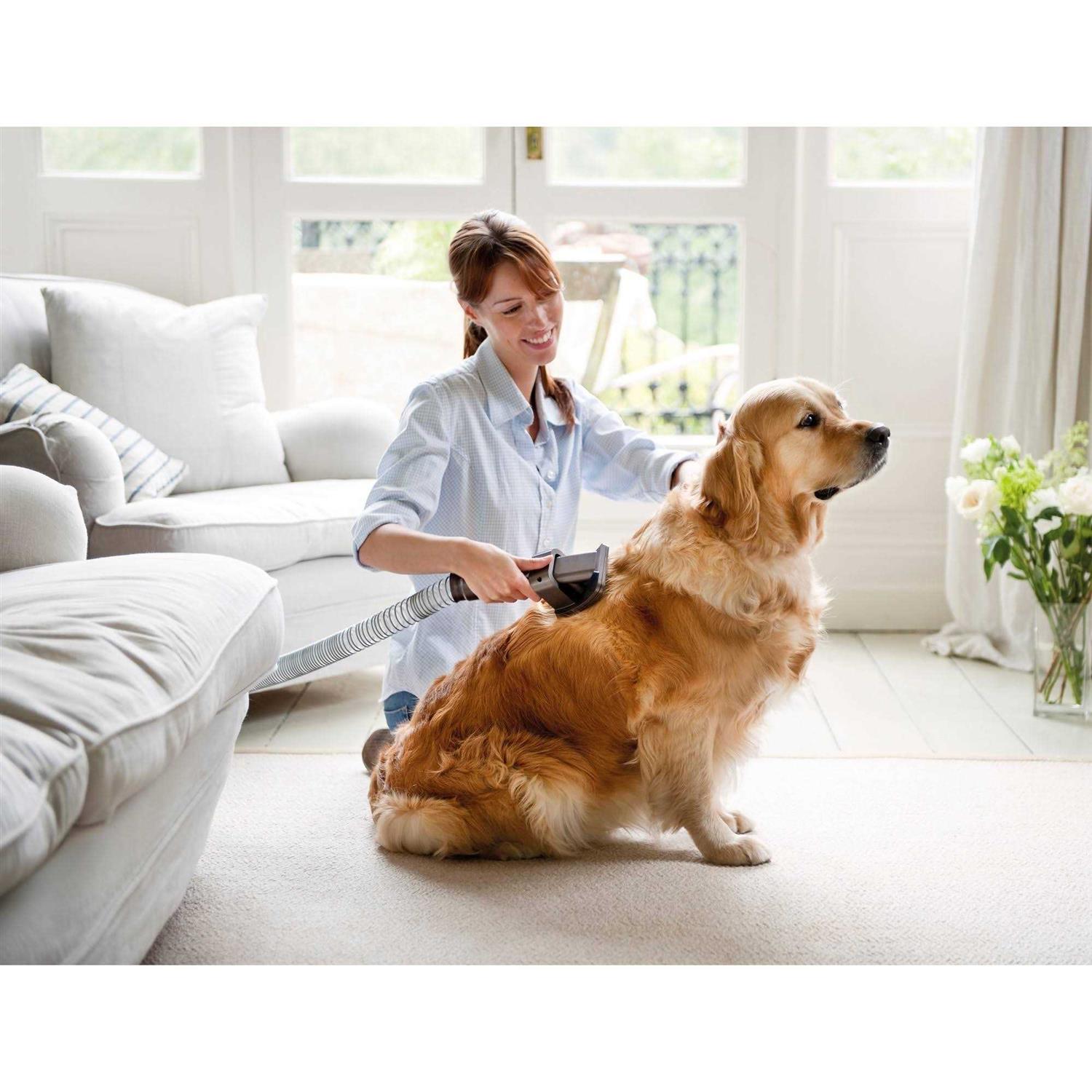 Dyson Groom Tool - Image 5