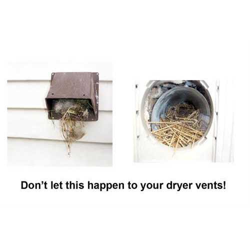 Defender Access+ Dryer Vent Guard - Image 3