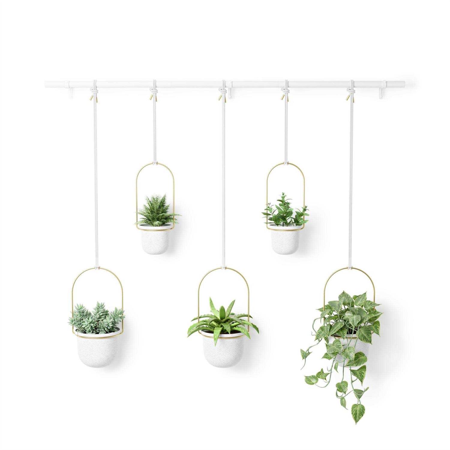 Umbra Triflora Hanging Planter - Image 5