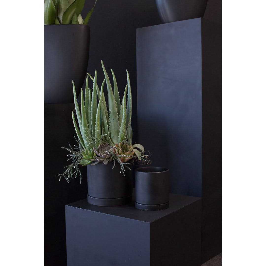 AllModern Carlotta Ceramic Pot Planter - Image 3