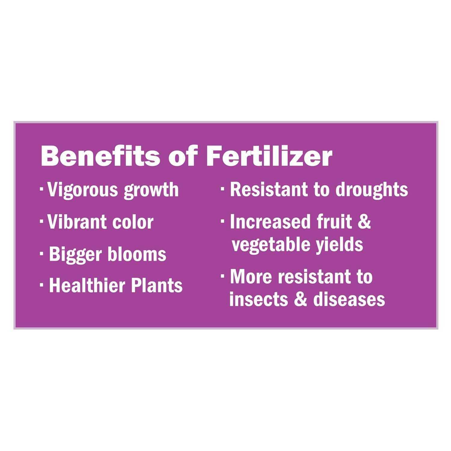 Espoma Holly-Tone Plant Food - Image 3