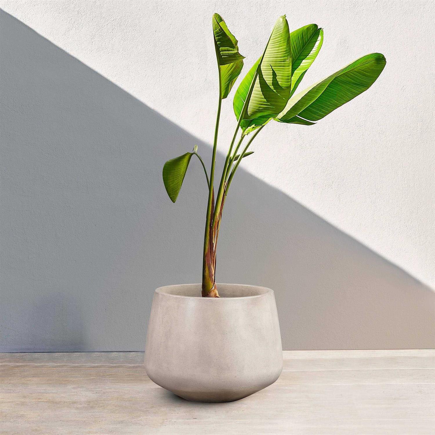 Amethyst Round Lightweight Concrete Indoor or Outdoor Planter Armen Living - Image 4