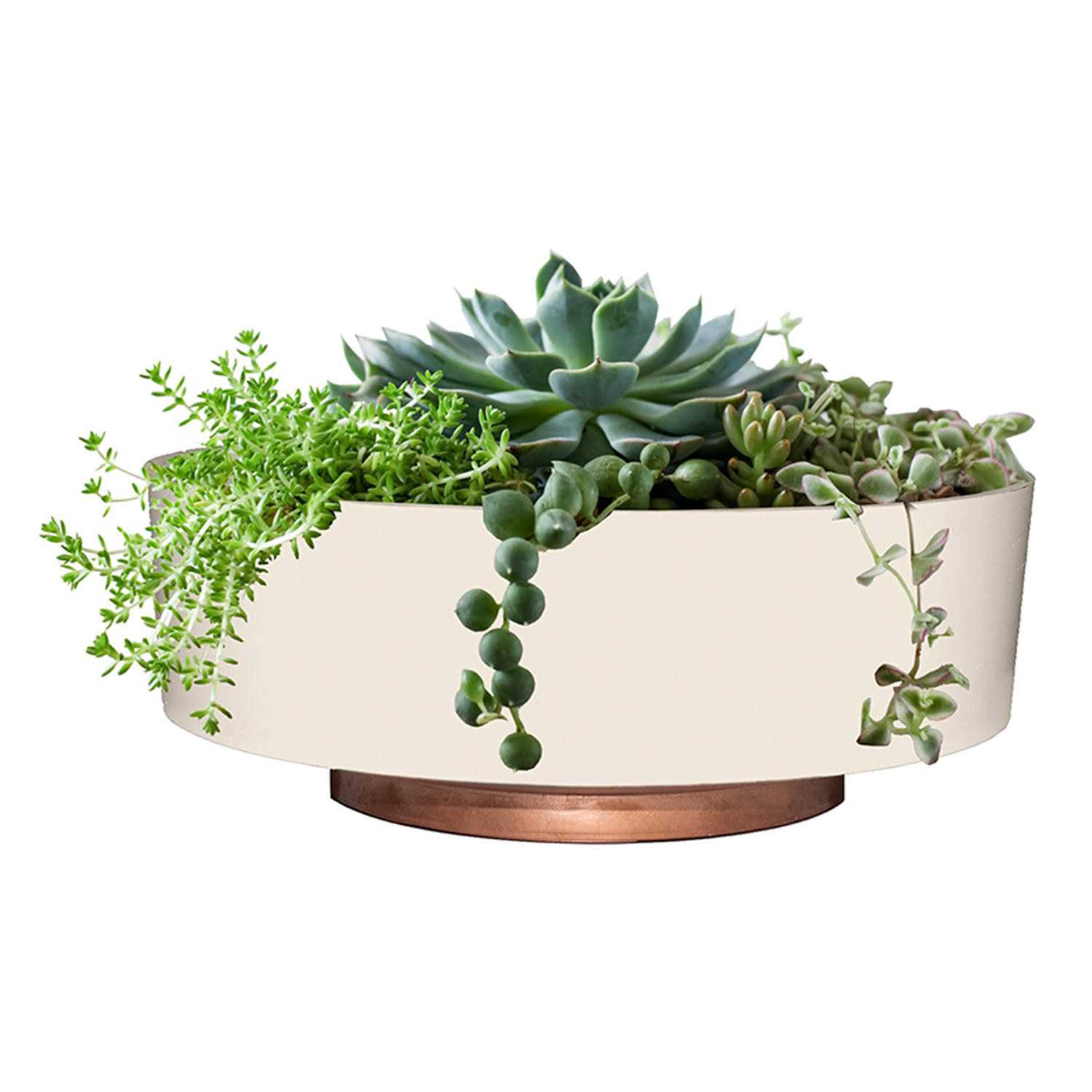 The HC Companies 6 Inch Round Capri Succulent Pot - Image 4