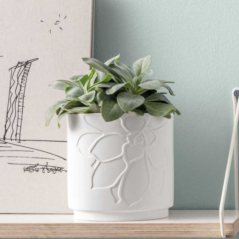 Villeroy & Boch It's My Home Flower Pot Leaf Mineral - Image 4