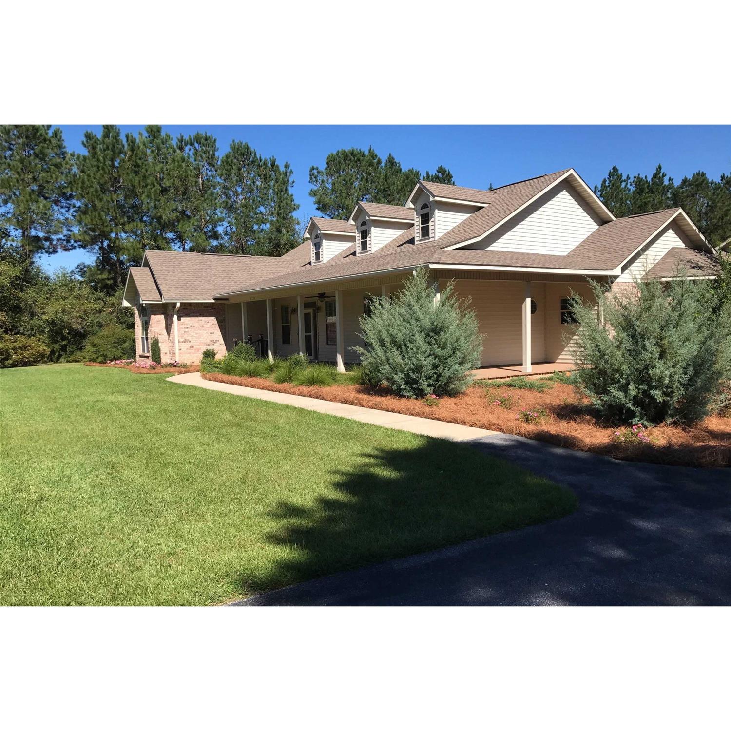 USA Pine Straw - Image 5