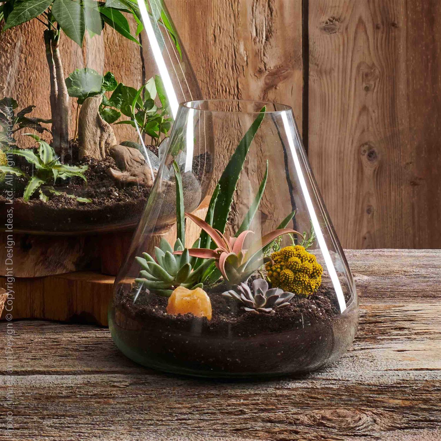texxture Boboli Glass Terrarium - Image 5