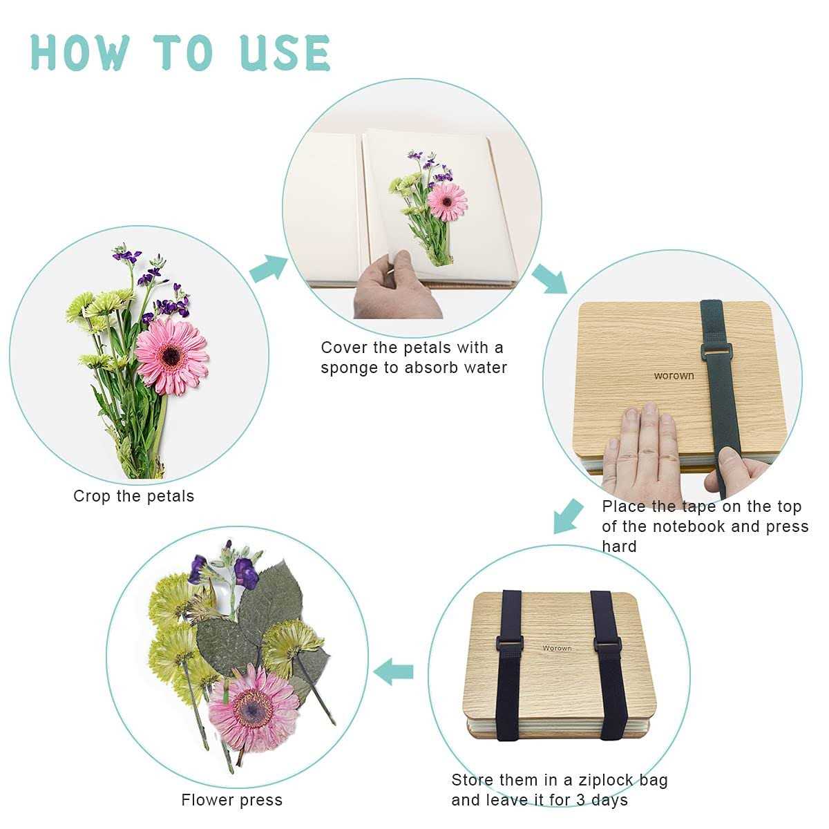 Worown Mini Flower Press Kit Leaf Press Plant Press 6 X 6 Inch 4 Layers Nature Press Kit Including Instructions - Image 4