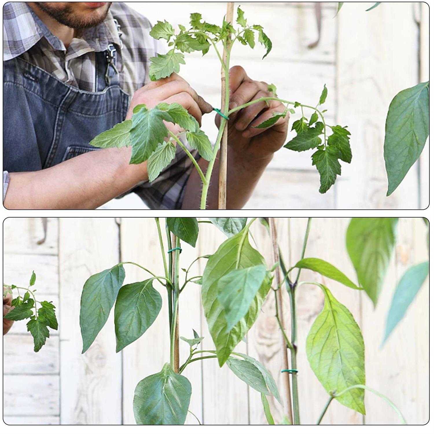 YDSL Soft Tie, Green Twist Garden Ties for Plants - Image 4